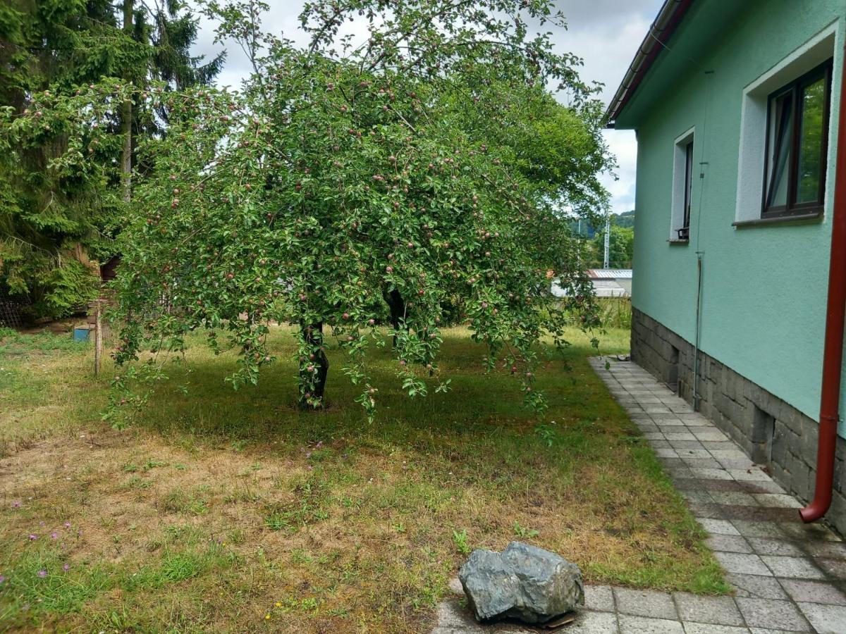 Apartment In The City Of Pilsen Bozkov Экстерьер фото